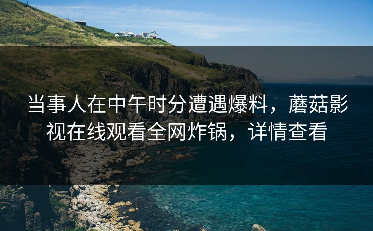 当事人在中午时分遭遇爆料，蘑菇影视在线观看全网炸锅，详情查看