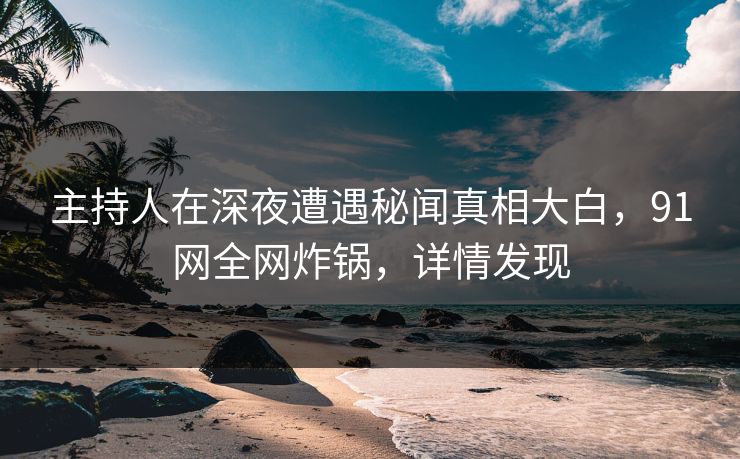 主持人在深夜遭遇秘闻真相大白，91网全网炸锅，详情发现